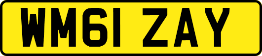 WM61ZAY
