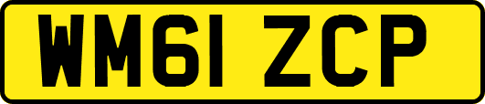 WM61ZCP
