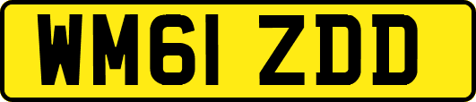 WM61ZDD