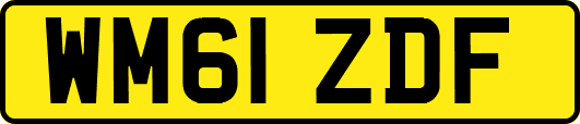 WM61ZDF