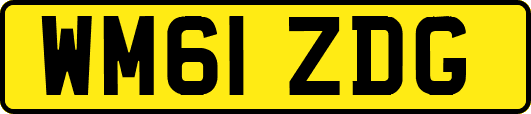 WM61ZDG