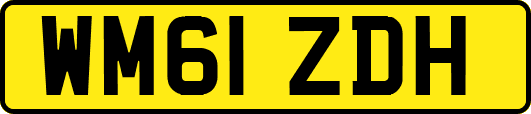 WM61ZDH