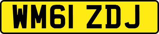 WM61ZDJ