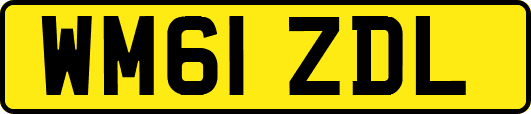 WM61ZDL