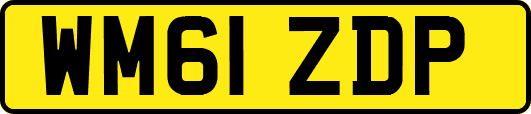 WM61ZDP