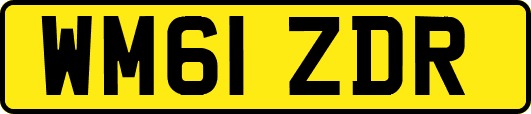 WM61ZDR