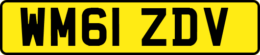 WM61ZDV