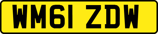 WM61ZDW