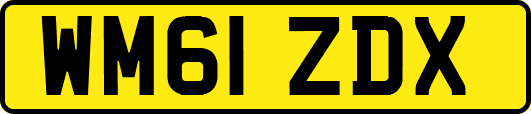 WM61ZDX