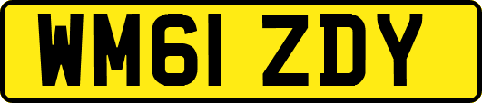 WM61ZDY