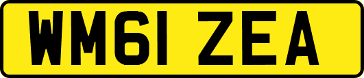 WM61ZEA