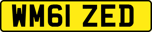 WM61ZED