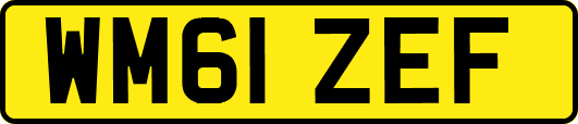 WM61ZEF