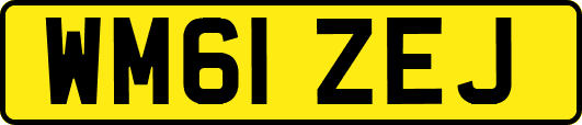 WM61ZEJ