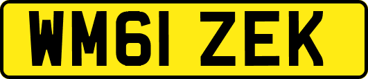 WM61ZEK