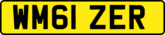 WM61ZER