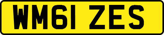WM61ZES