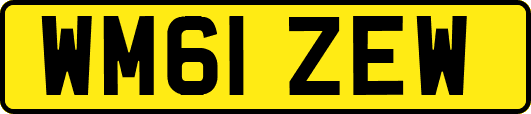 WM61ZEW