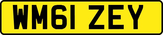 WM61ZEY