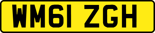 WM61ZGH