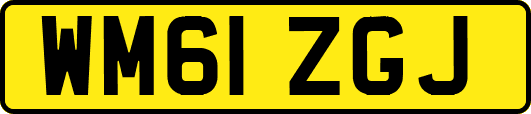 WM61ZGJ