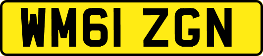 WM61ZGN