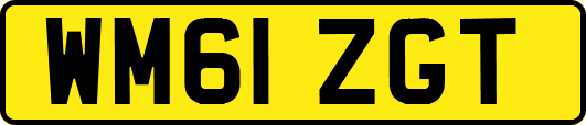 WM61ZGT