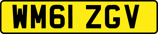 WM61ZGV