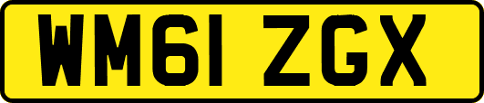 WM61ZGX