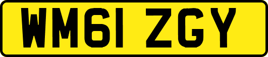 WM61ZGY