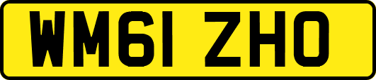 WM61ZHO