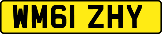WM61ZHY
