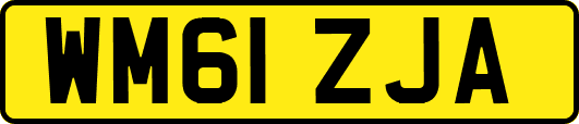 WM61ZJA