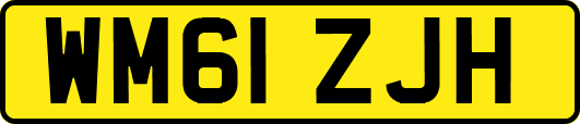WM61ZJH