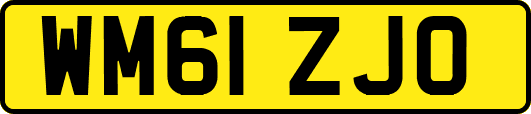WM61ZJO