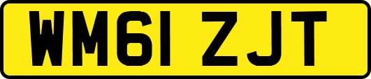 WM61ZJT