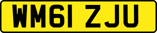 WM61ZJU