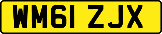 WM61ZJX