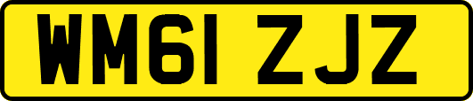 WM61ZJZ