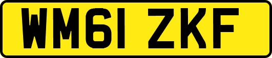 WM61ZKF