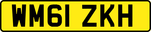 WM61ZKH
