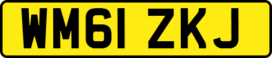 WM61ZKJ
