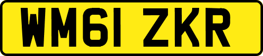 WM61ZKR