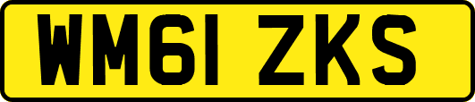 WM61ZKS