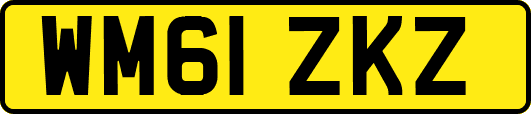 WM61ZKZ