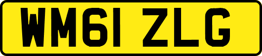 WM61ZLG