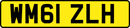 WM61ZLH