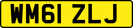 WM61ZLJ
