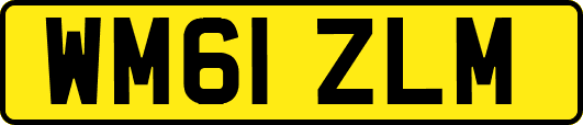 WM61ZLM