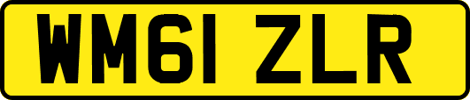 WM61ZLR